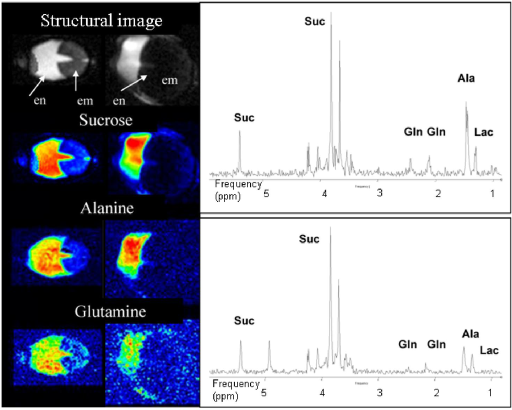 Materials 04 01426 g004 1024