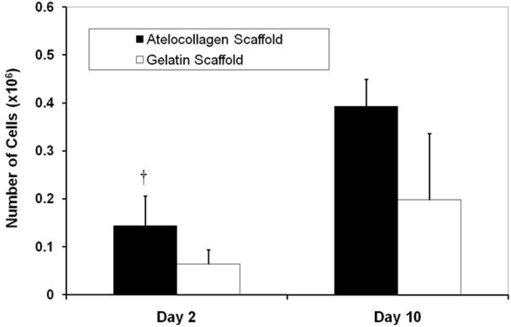 Materials 04 01469 g003 1024