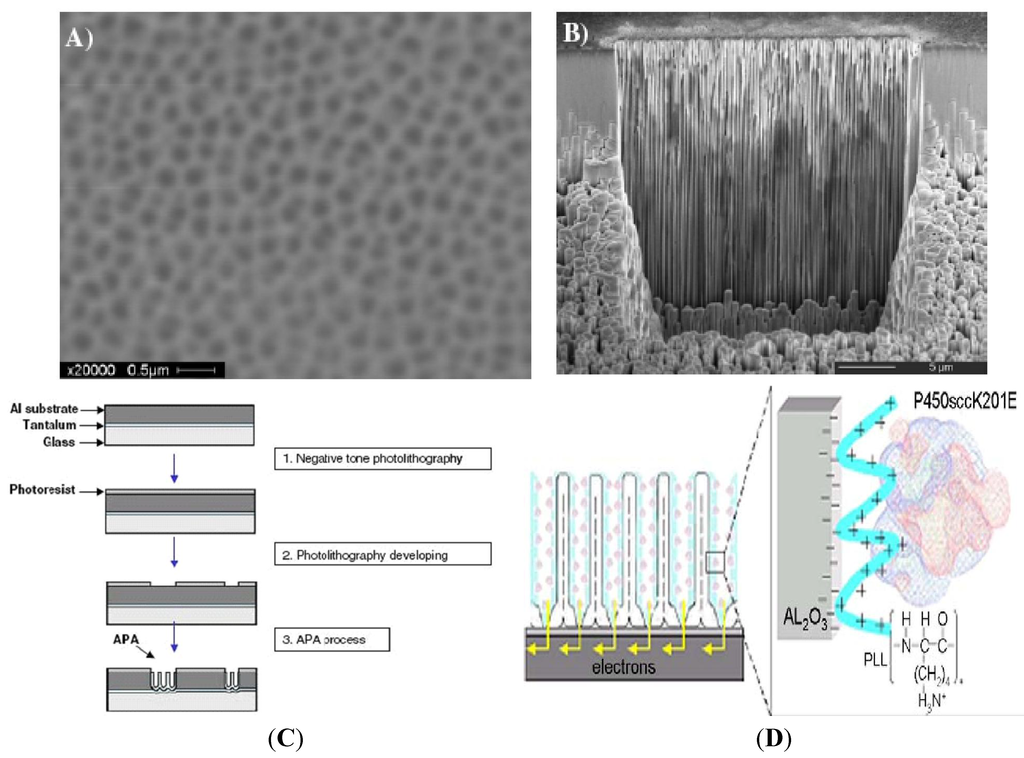 Materials 04 01483 g001 1024