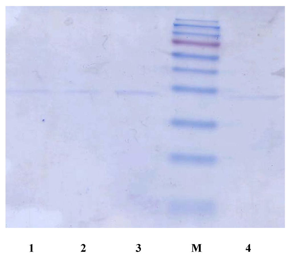 Materials 04 01483 g007b 1024