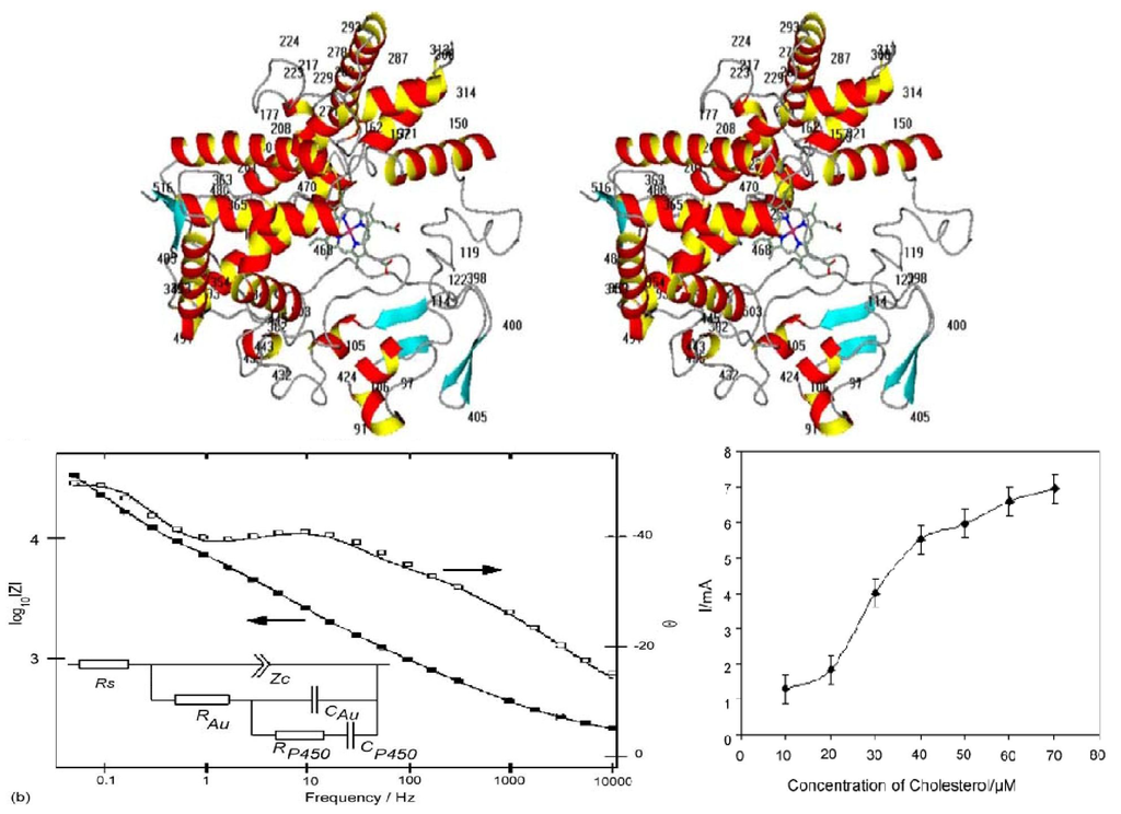Materials 04 01483 g008 1024