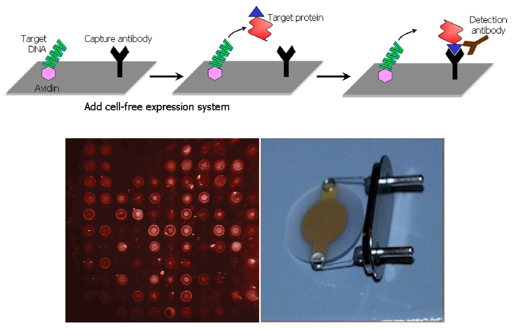 Materials 04 01483 g009 1024
