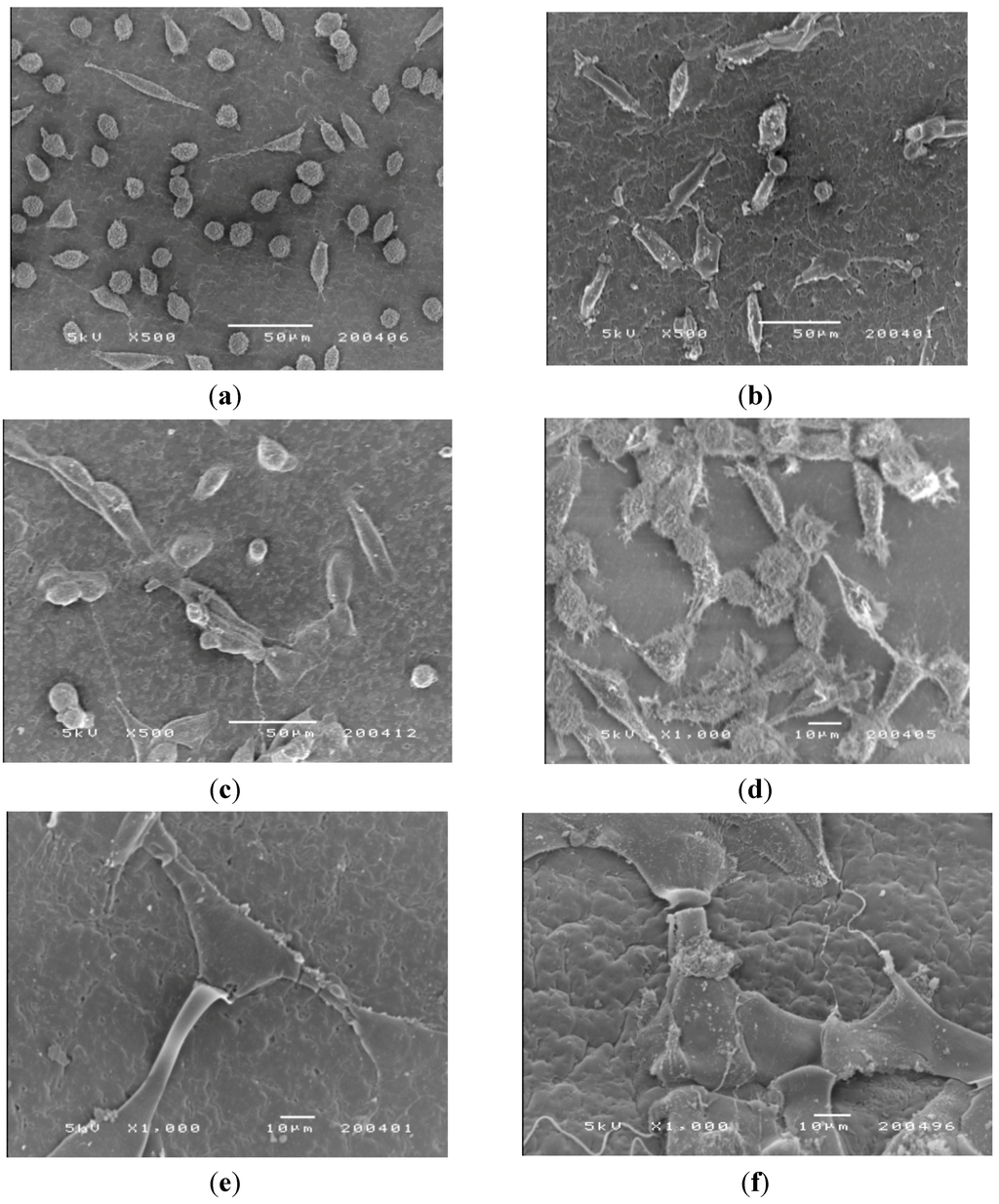 Materials 04 01728 g010 1024