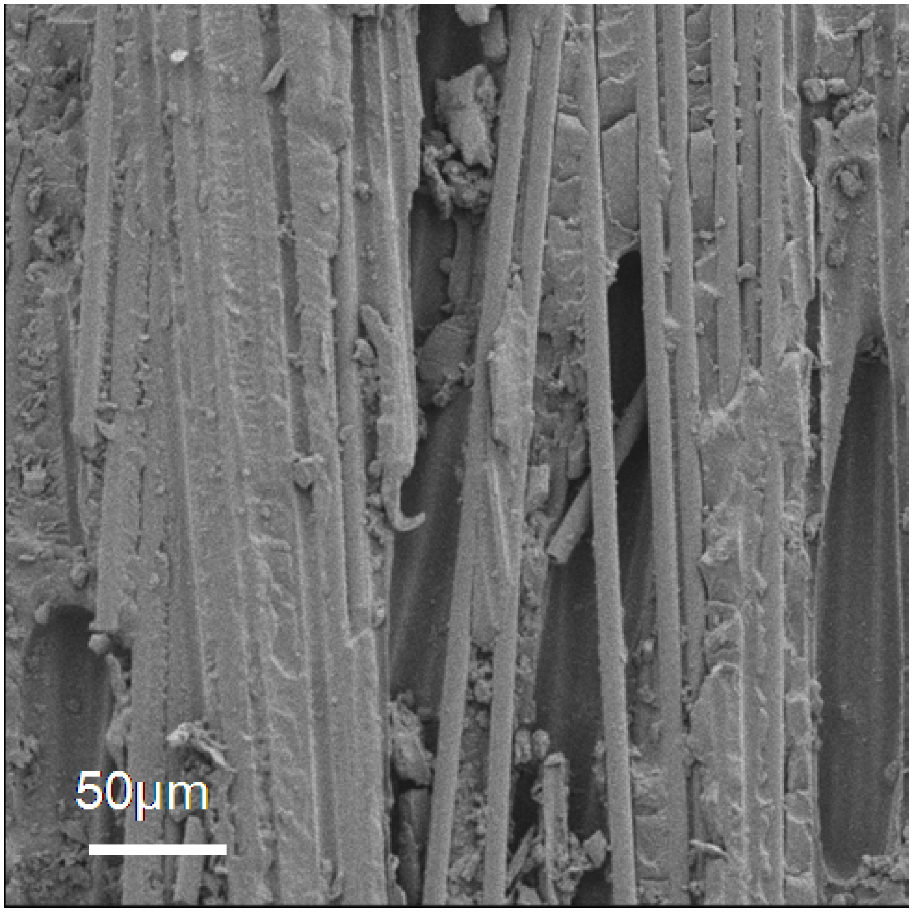 Materials 04 01967 g005