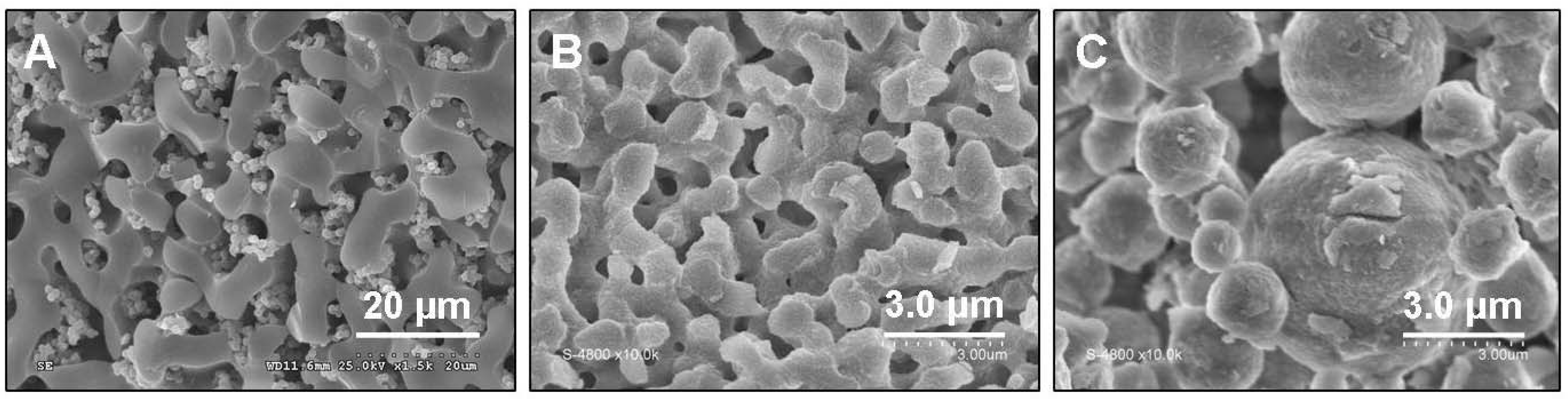 Materials 05 00336 g006