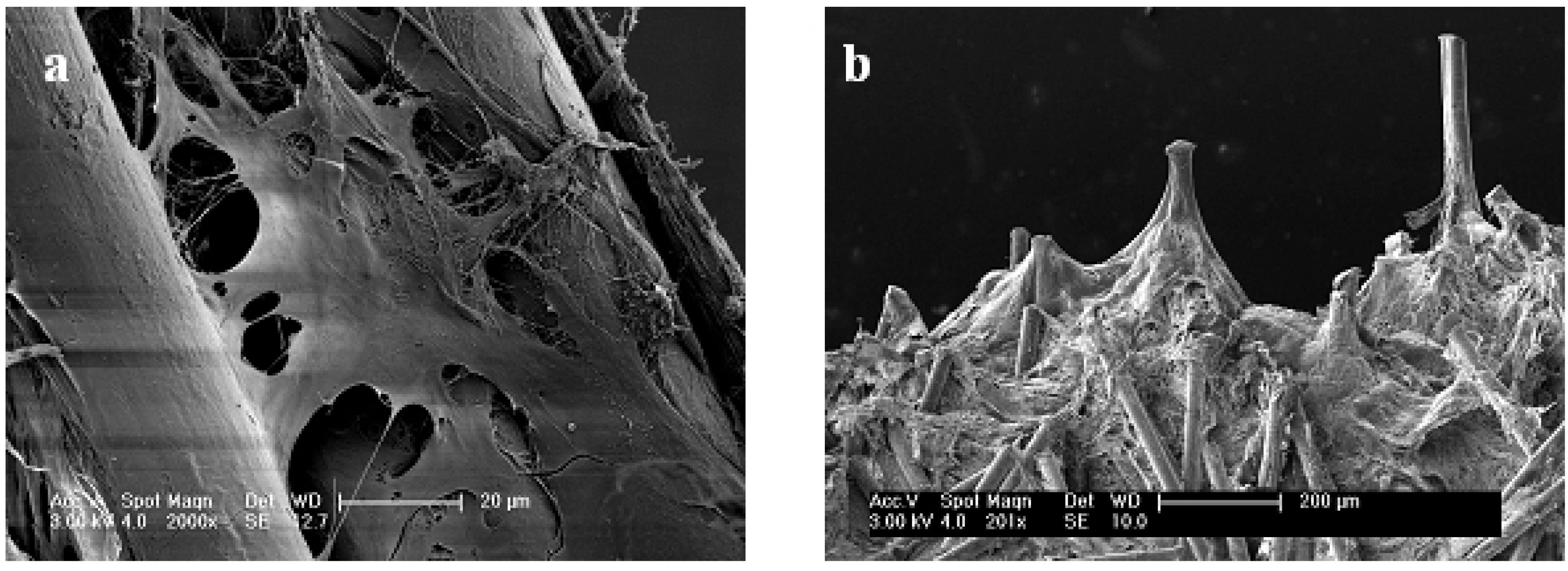 Materials 05 00540 g007