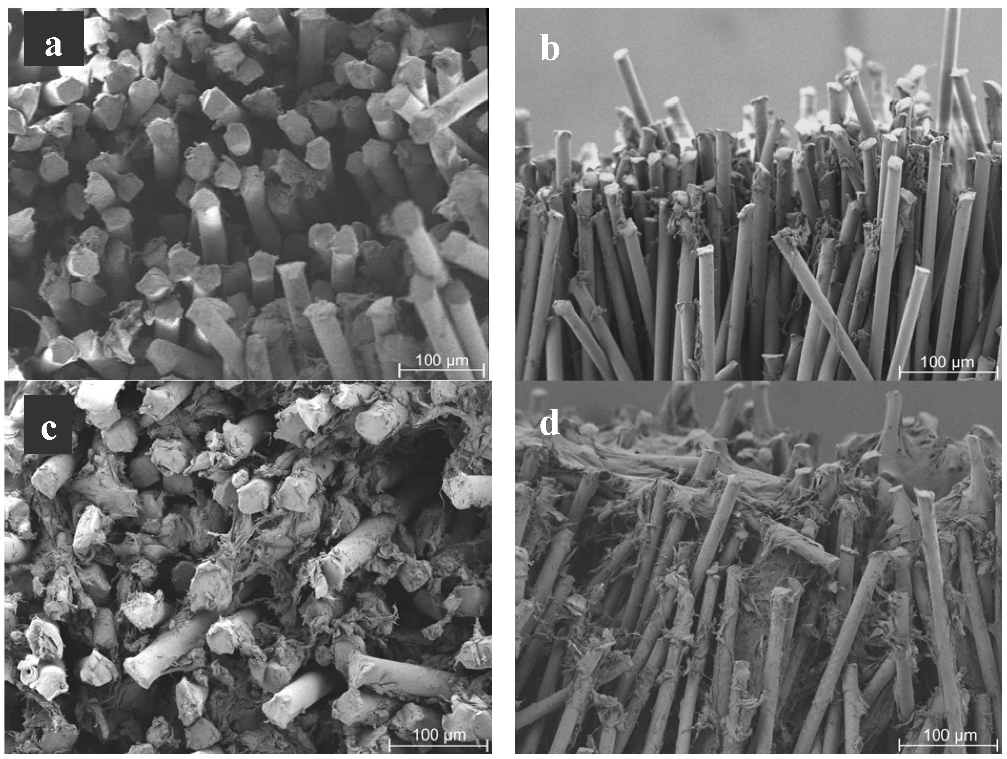 Materials 05 00540 g008