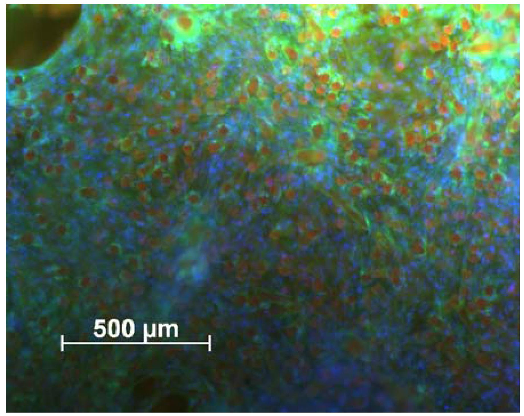 Materials 05 00540 g009