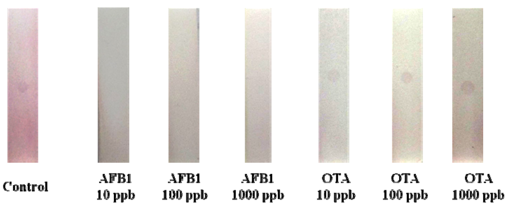Materials 05 00634 g005 1024