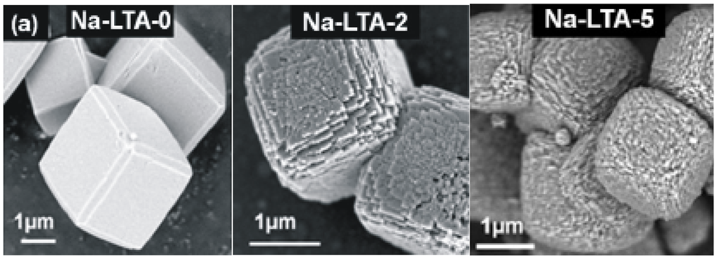 Materials 05 00699 g002 1024