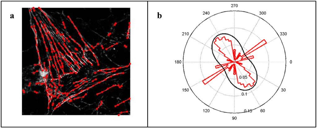 Materials 05 01176 g002 1024