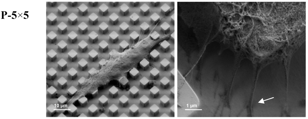 Materials 05 01176 g003b 1024