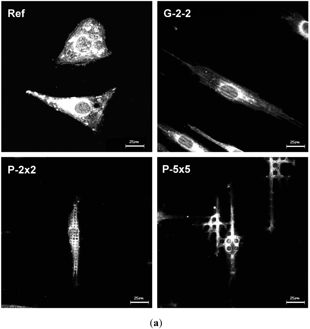 Materials 05 01176 g004a 1024