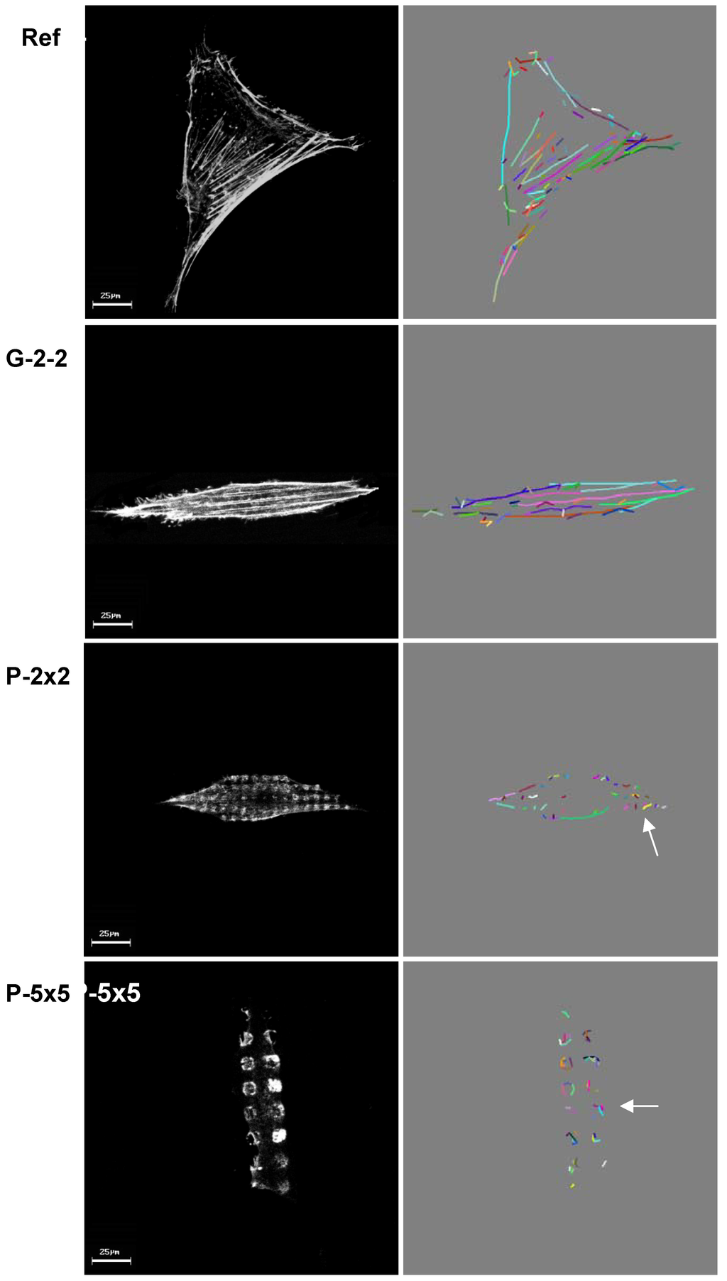 Materials 05 01176 g008 1024