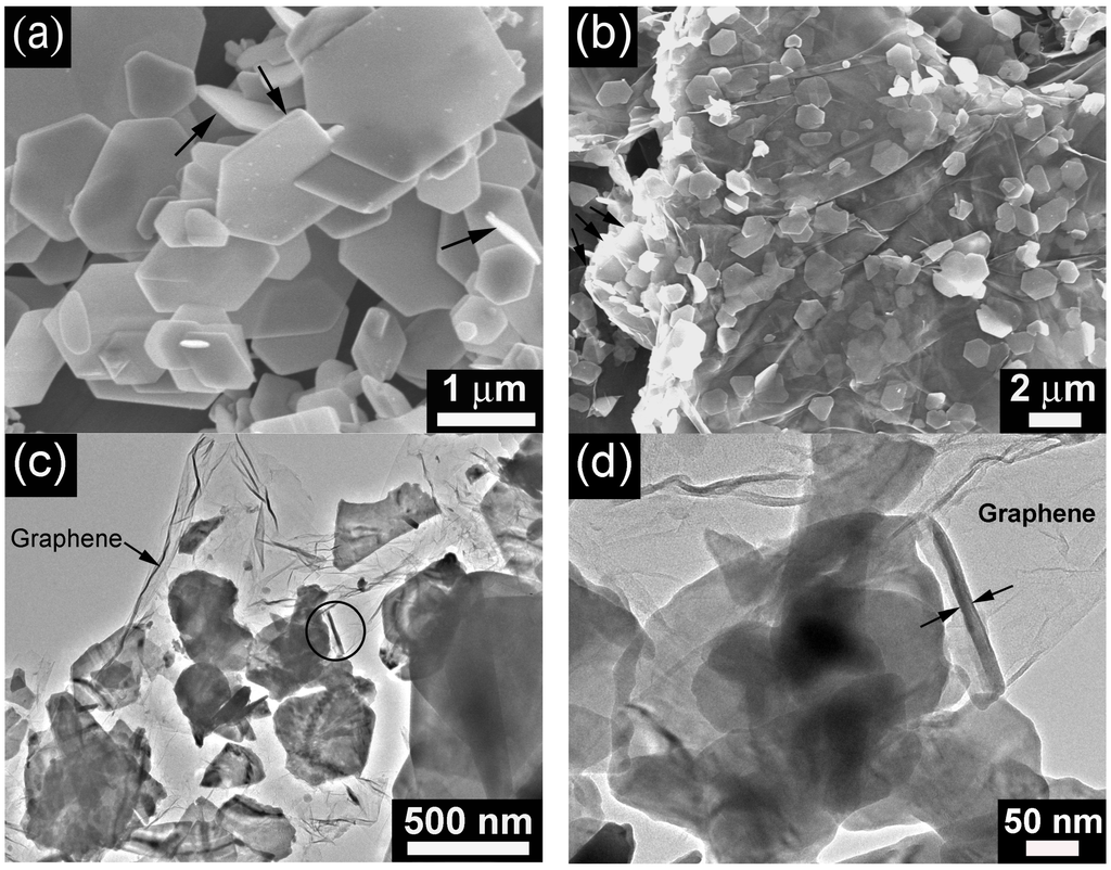 Materials 05 01275 g002 1024