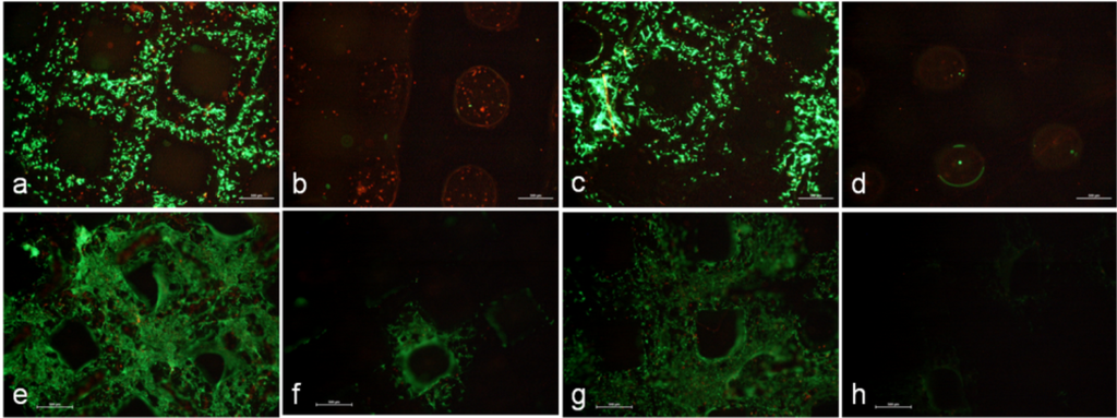 Materials 05 01336 g004 1024