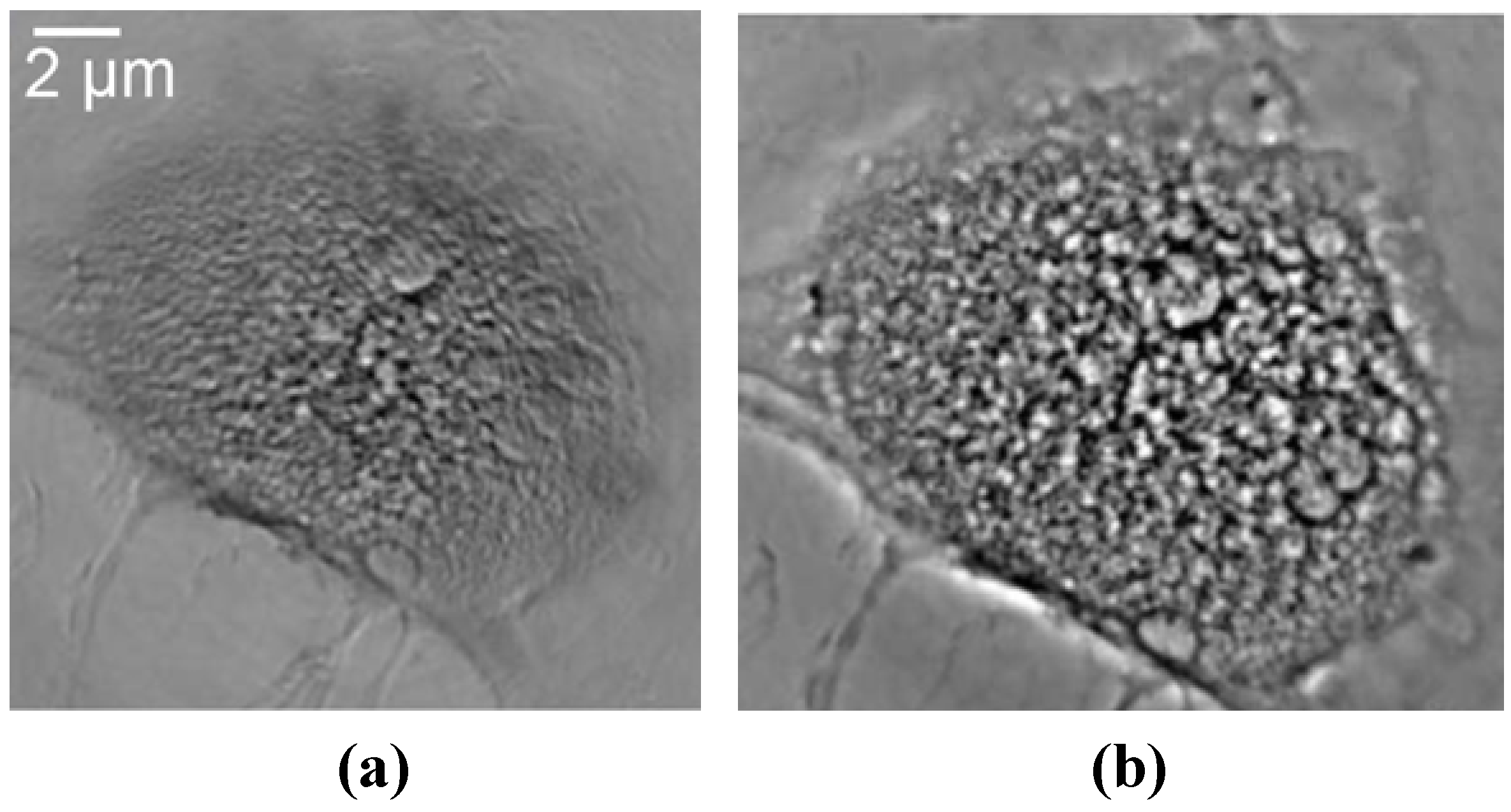 Materials 05 01752 g018