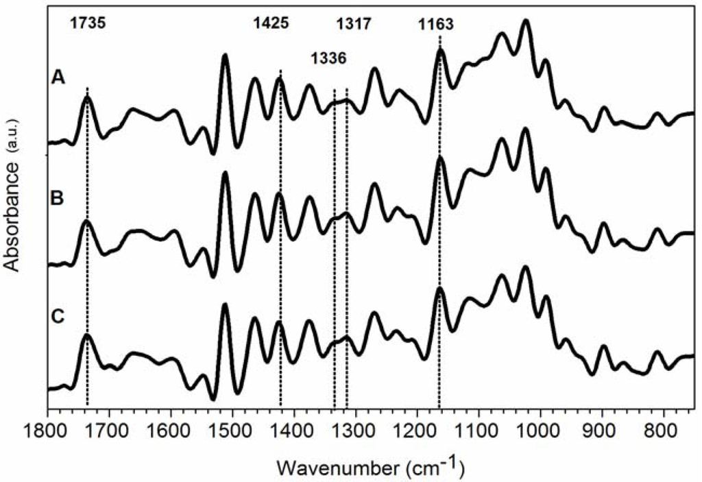 Materials 05 01910 g003 1024