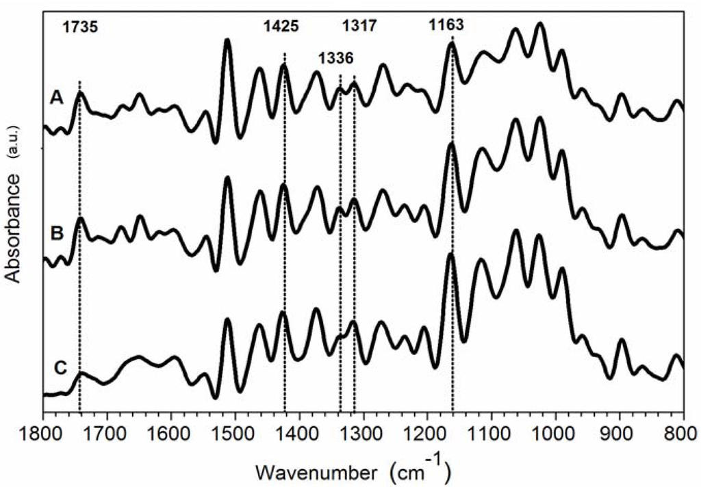 Materials 05 01910 g004 1024