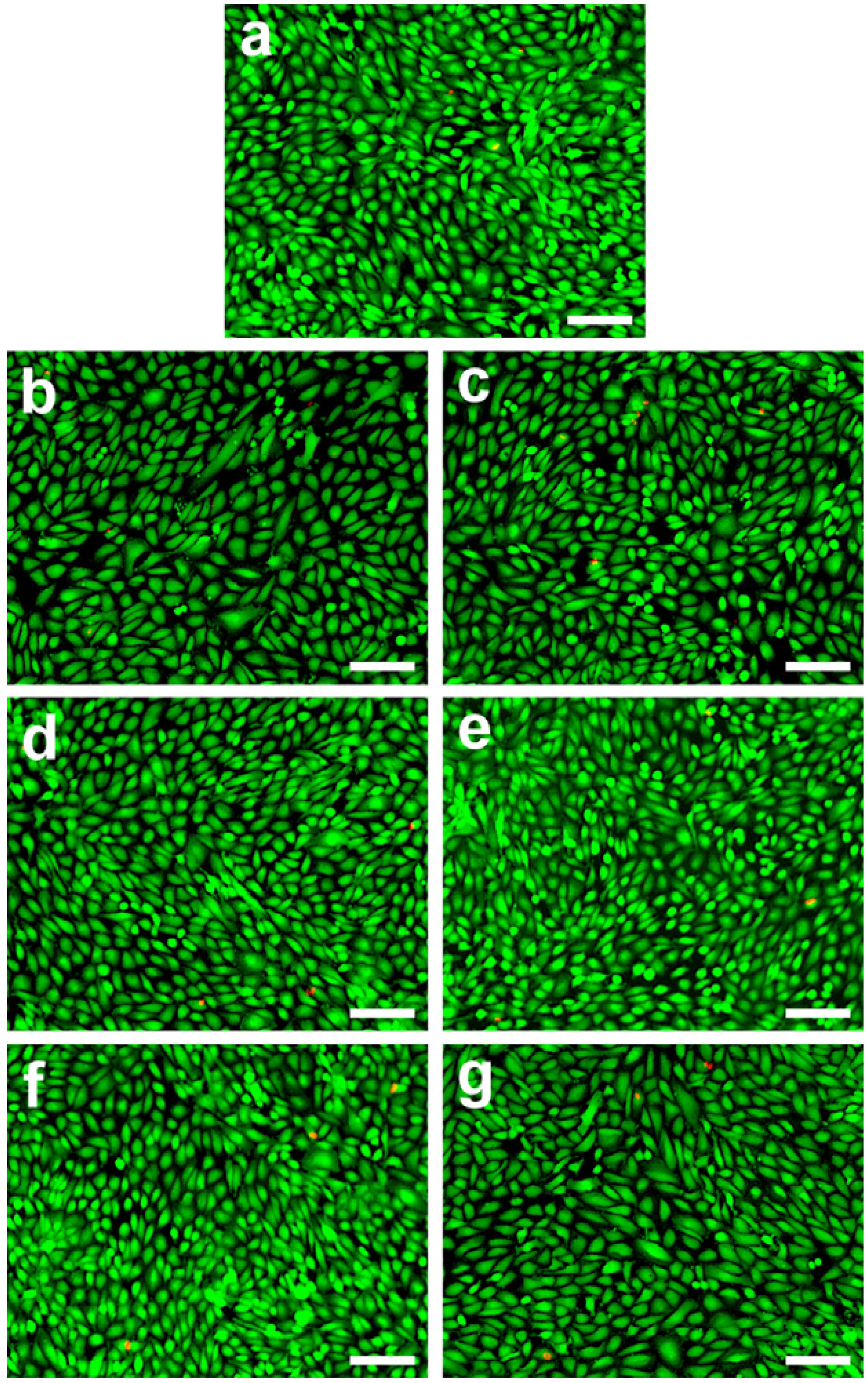 Materials 05 01986 g004