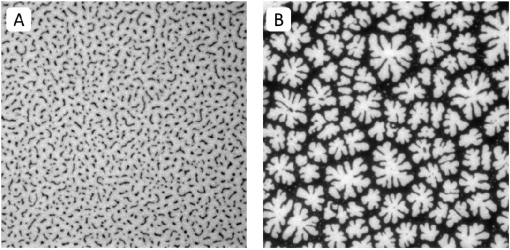 Materials 05 02243 g002 1024