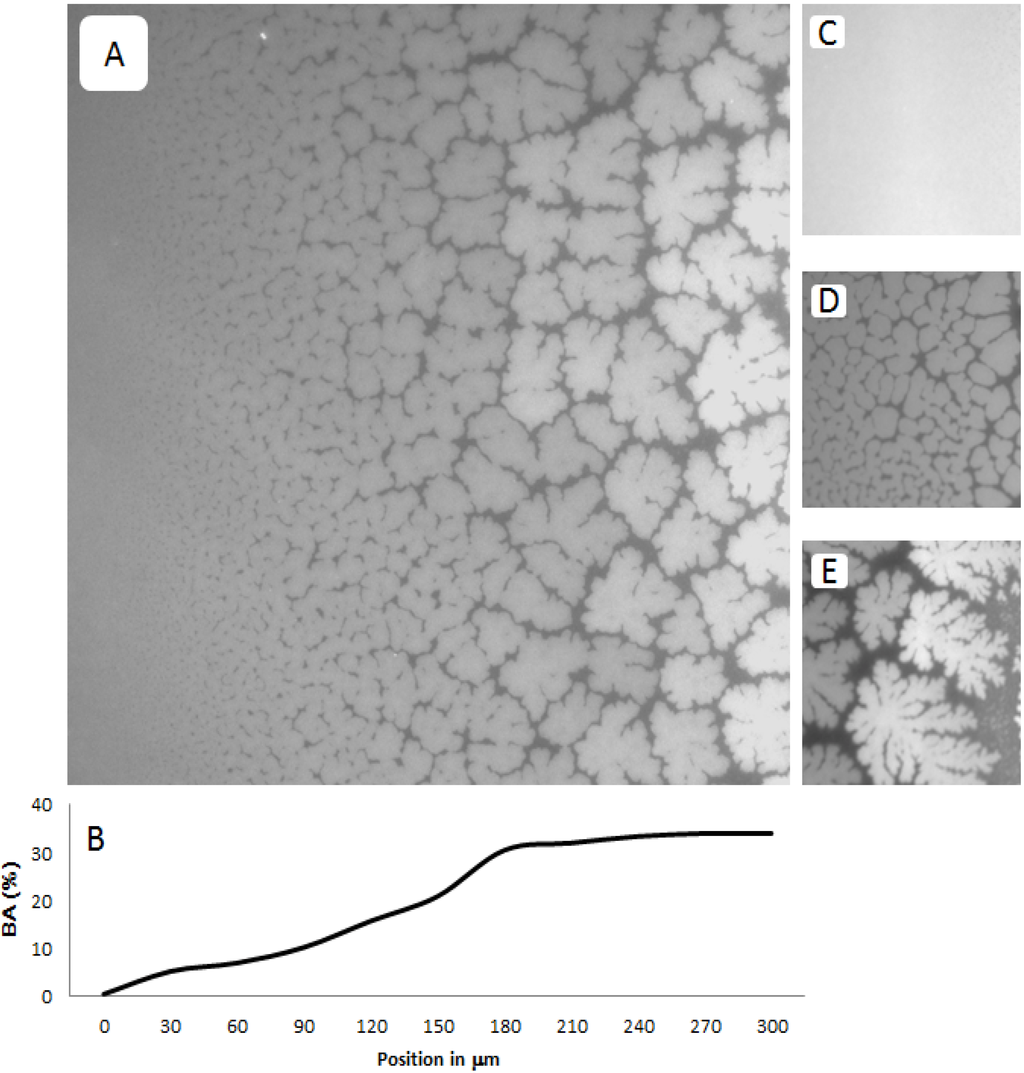 Materials 05 02243 g003 1024