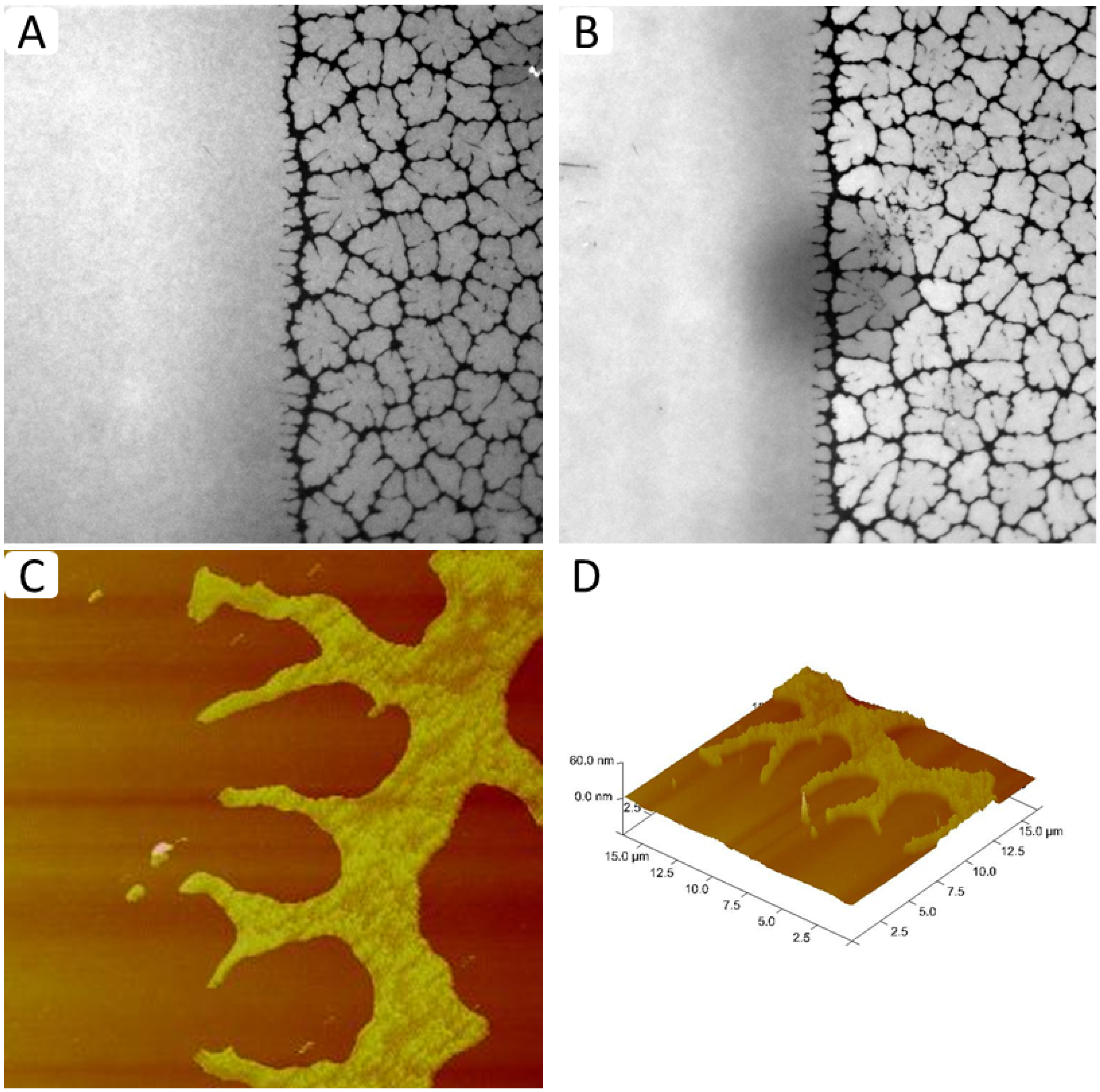 Materials 05 02243 g007