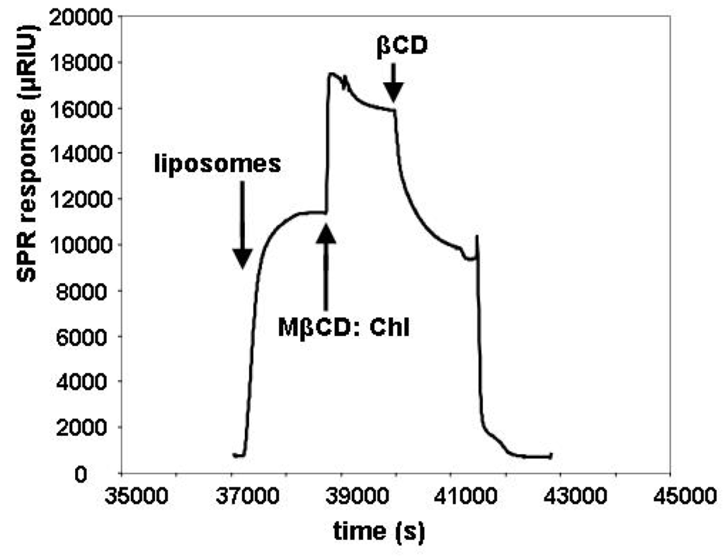Materials 05 02306 g004 1024