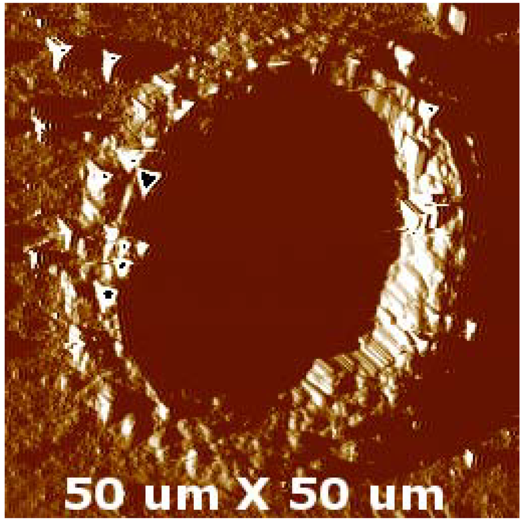 Materials 05 02360 g006 1024