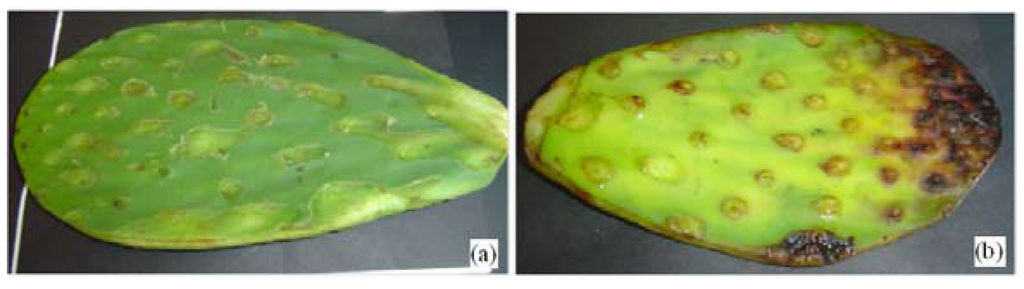 Materials 05 02383 g001 1024