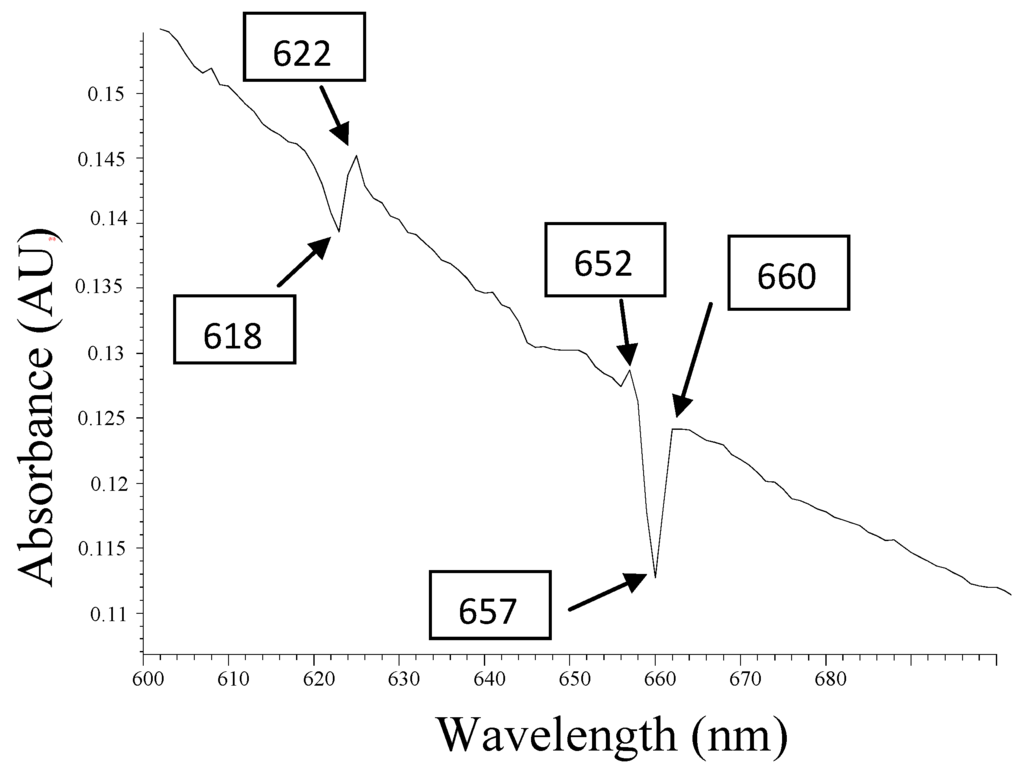 Materials 05 02383 g003 1024