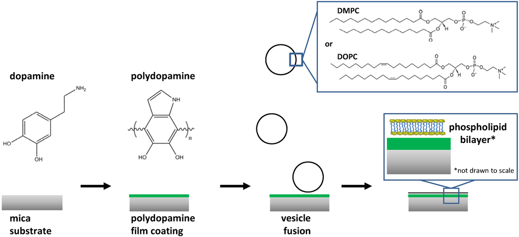 Materials 05 02621 g001 1024