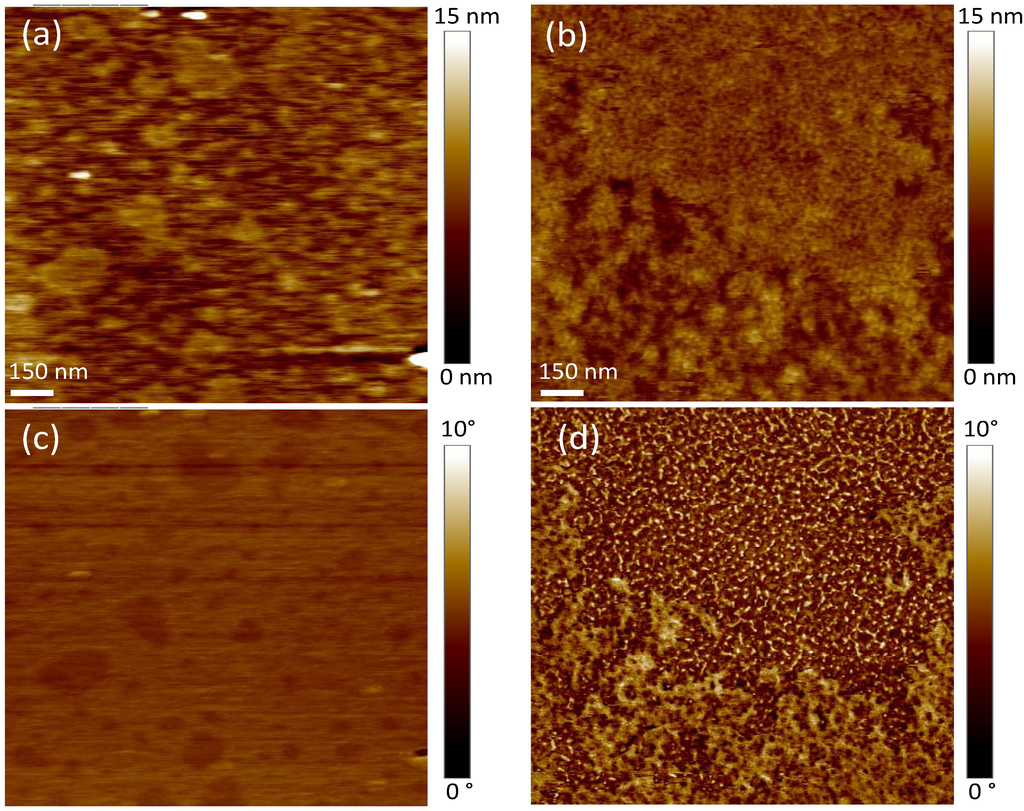 Materials 05 02621 g006 1024