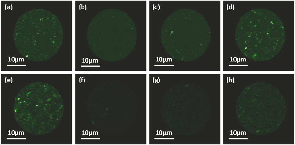 Materials 05 02621 g007 1024