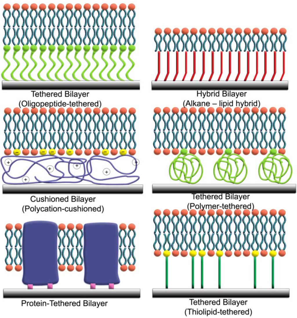 Materials 05 02637 g001 1024