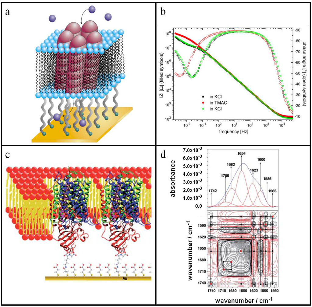 Materials 05 02637 g002 1024