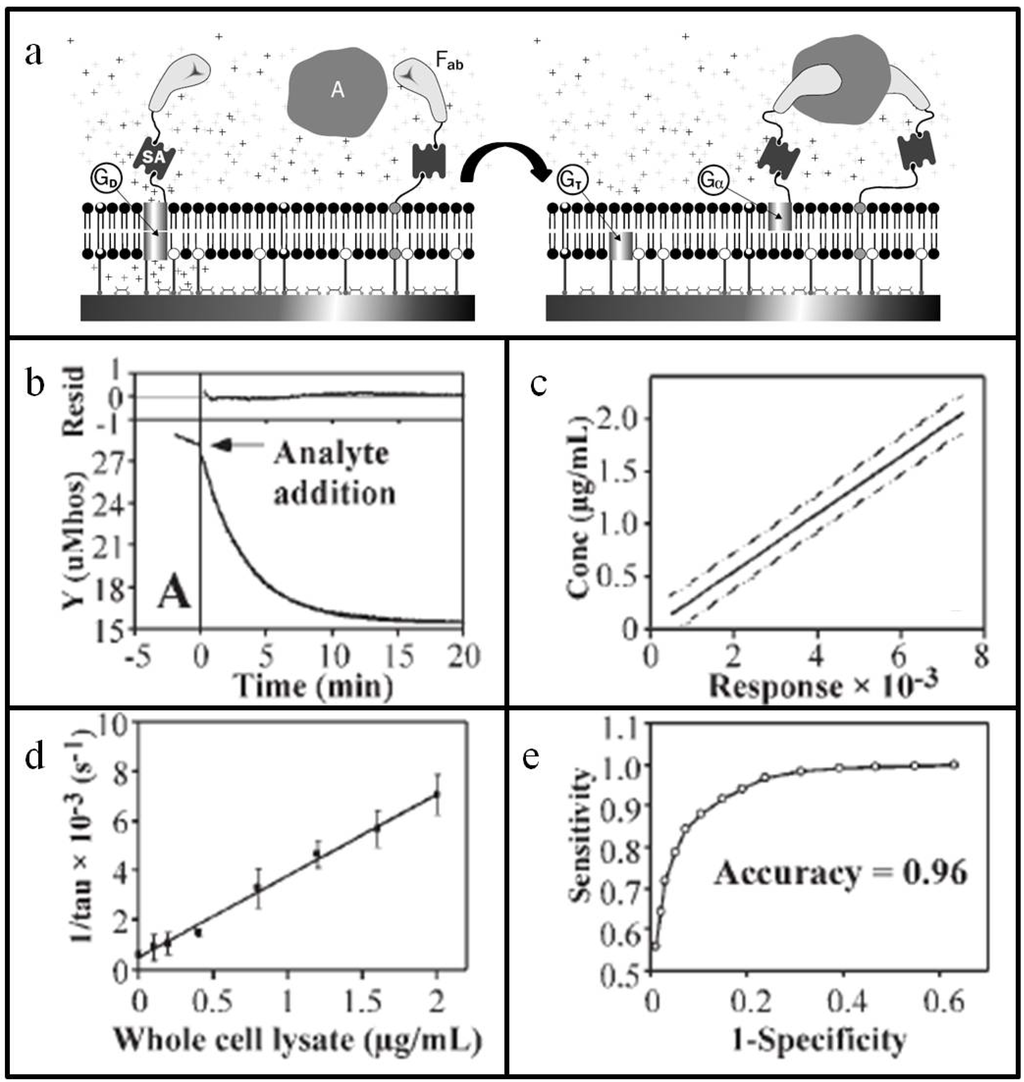 Materials 05 02637 g003 1024