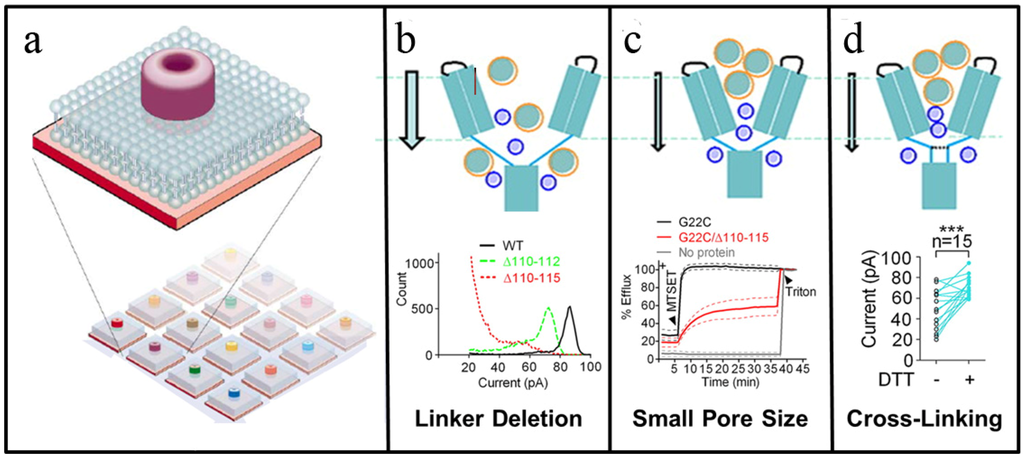 Materials 05 02637 g004 1024