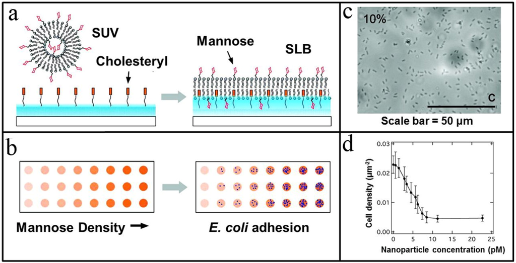 Materials 05 02637 g005 1024