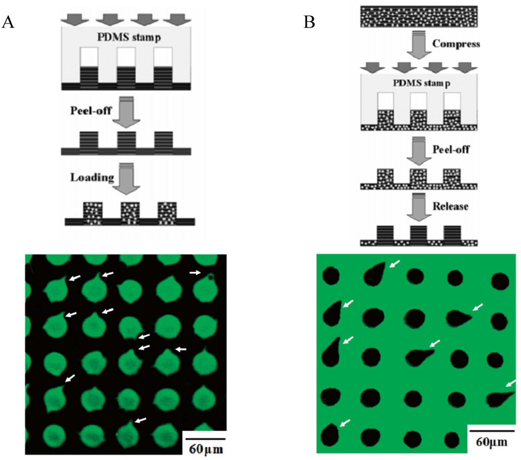 Materials 05 02681 g009 1024