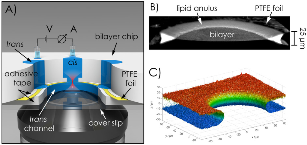 Materials 05 02705 g001 1024