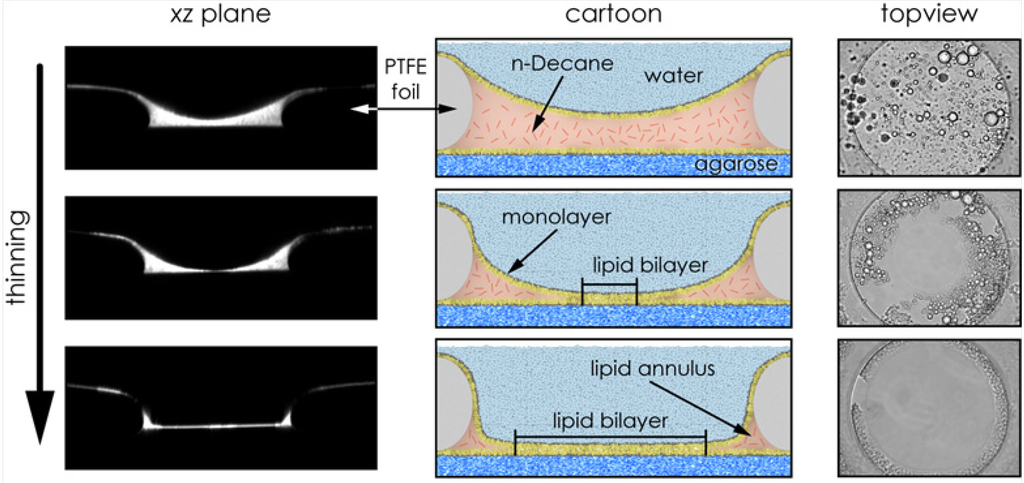 Materials 05 02705 g003 1024