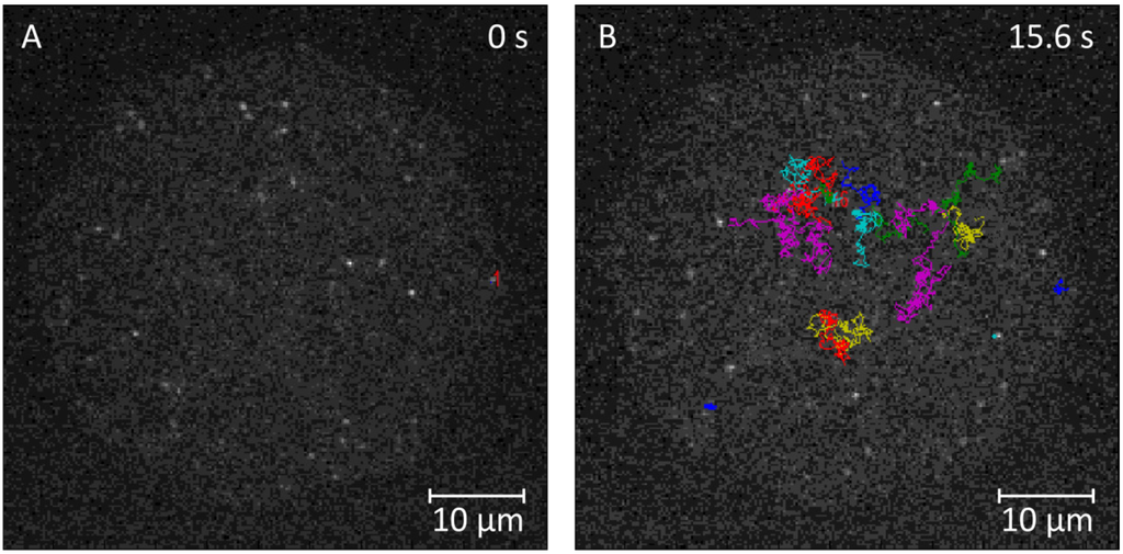 Materials 05 02705 g004 1024