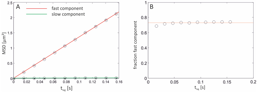 Materials 05 02705 g005 1024