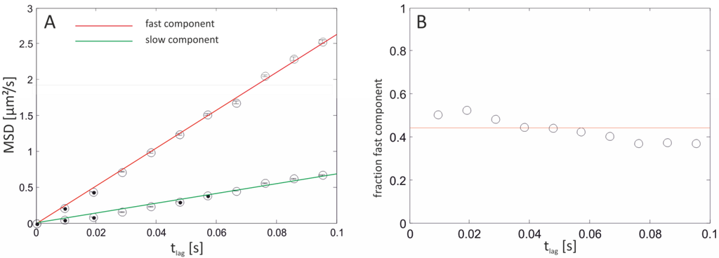 Materials 05 02705 g008 1024