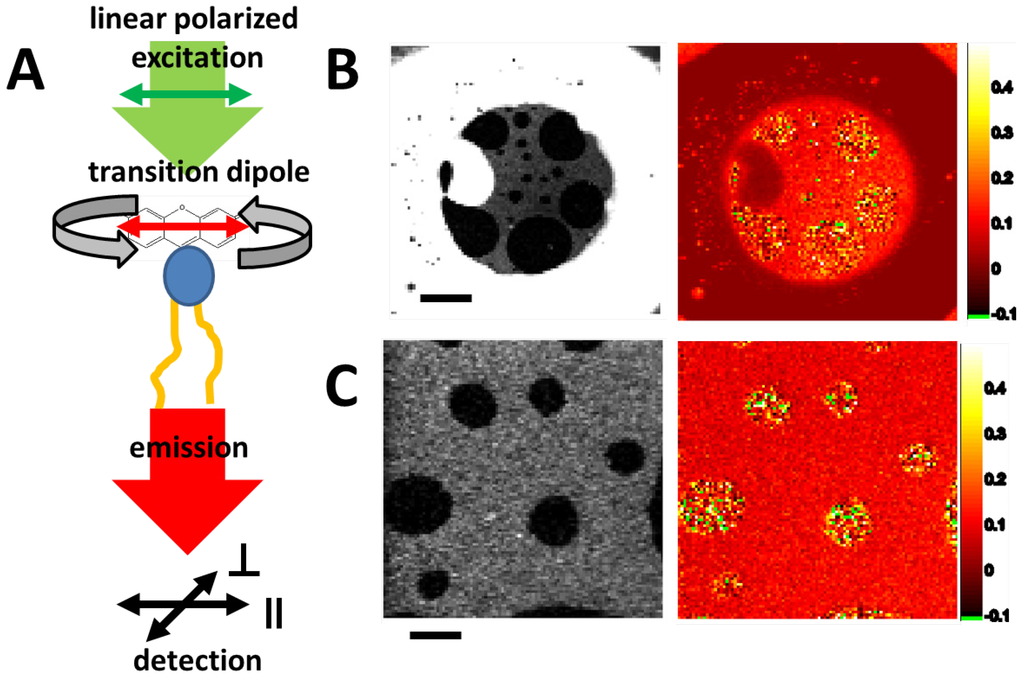 Materials 05 02705 g010 1024