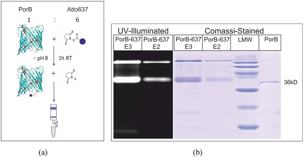 Materials 05 02705 g015 1024