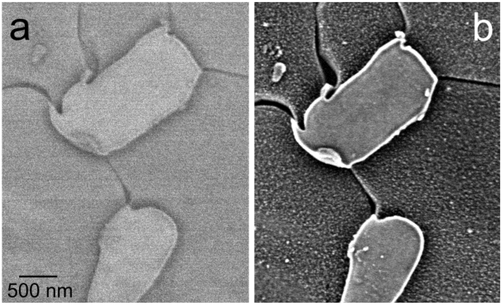 Materials 05 02731 g002 1024