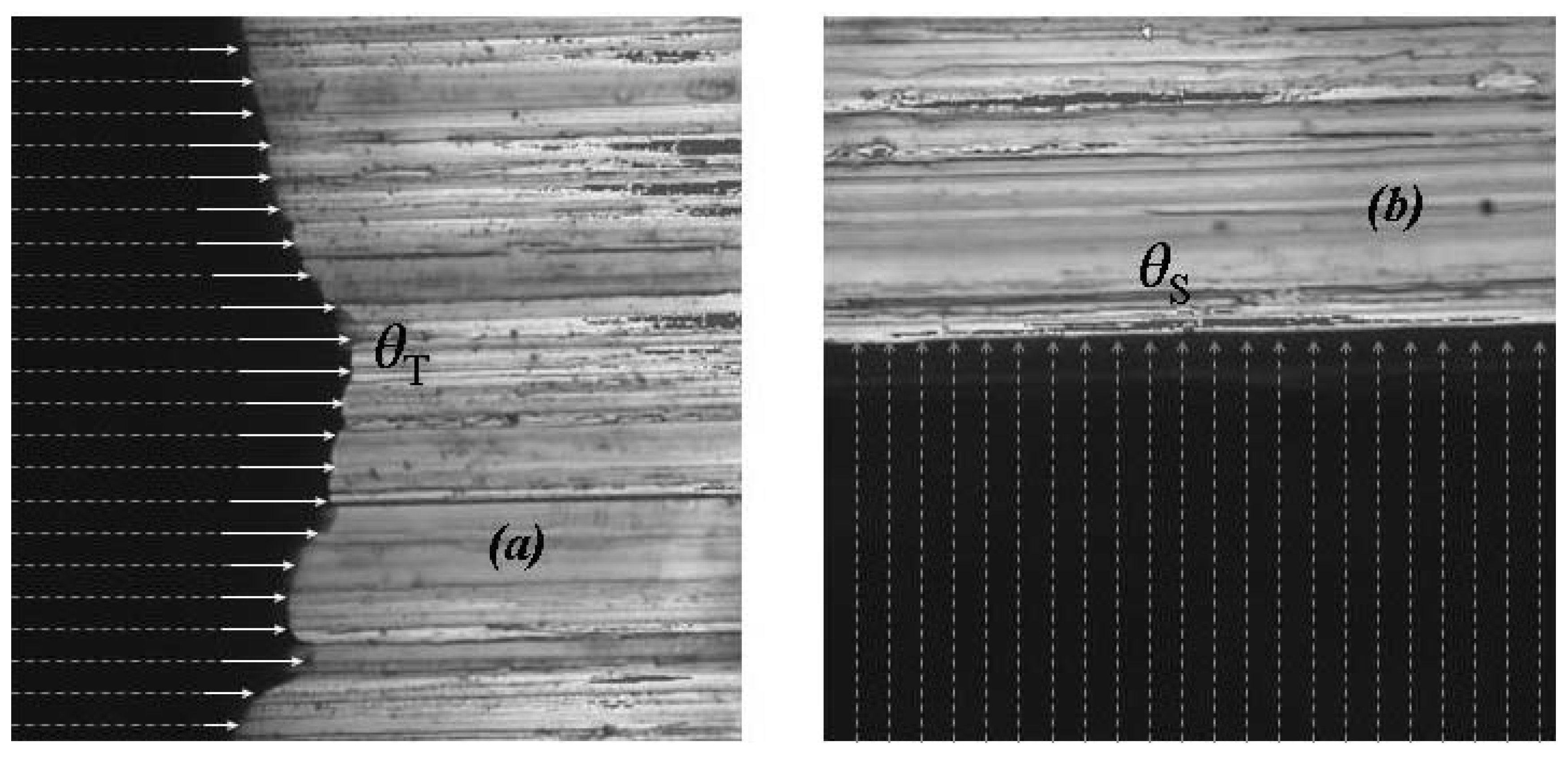 Materials 05 02773 g009