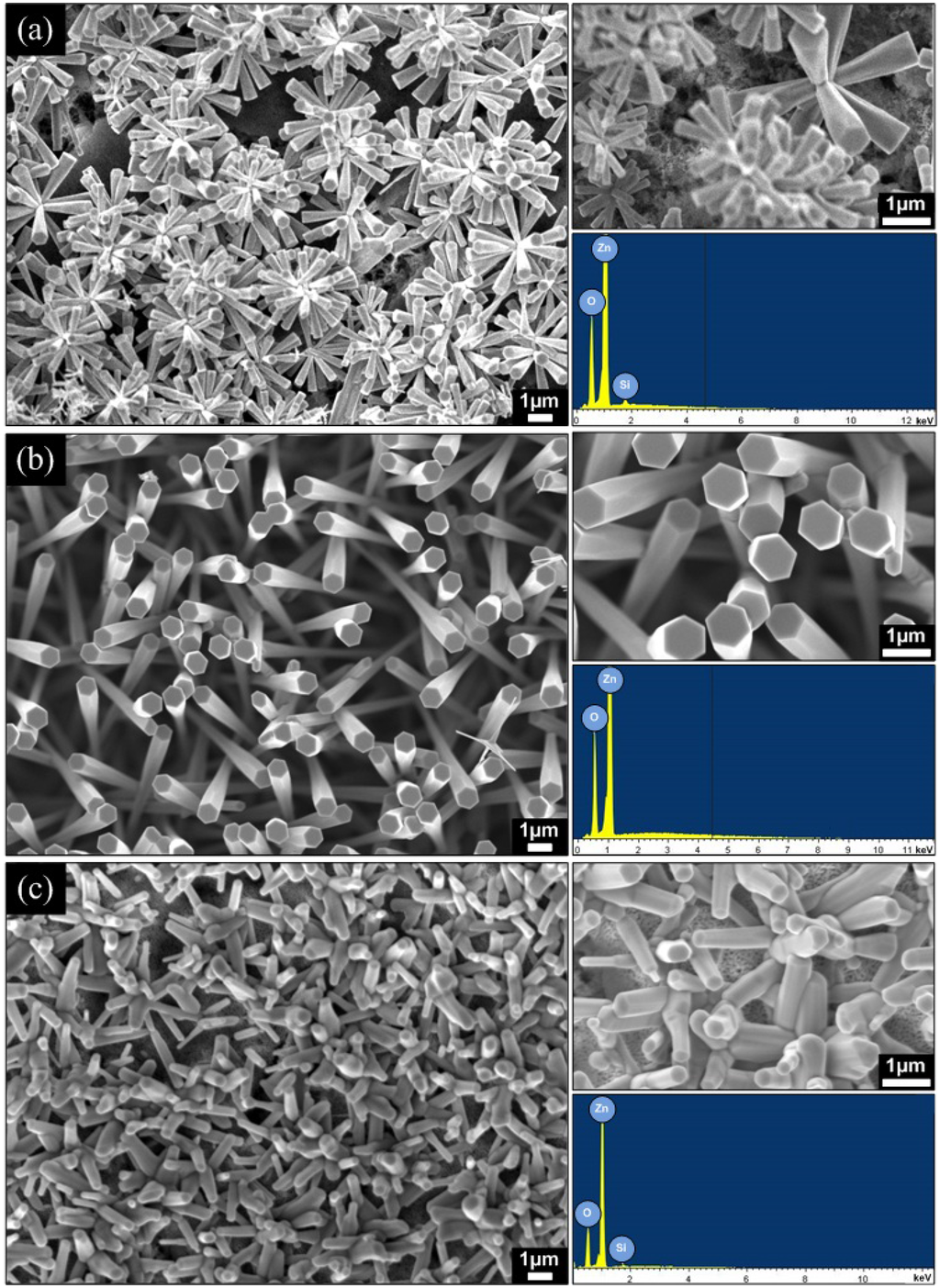 Materials 05 02817 g004 1024